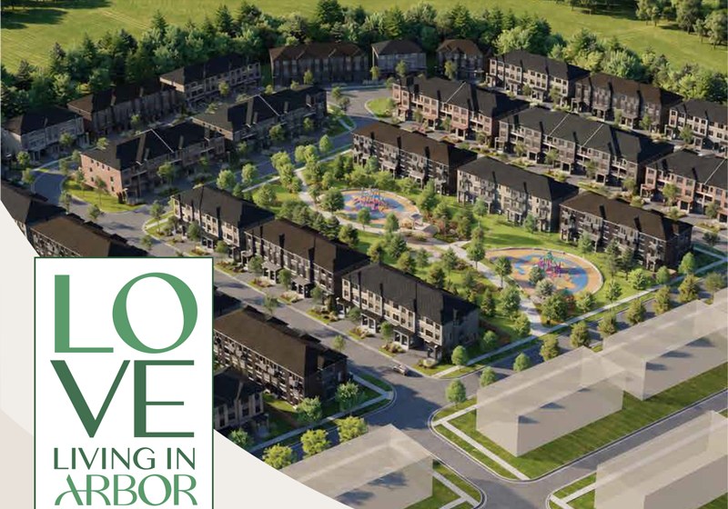 Artist's concept of the Arbor Grove community, courtesy of Royal Pine Homes